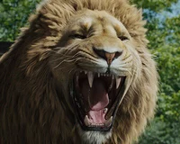 Aslan