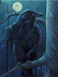 Raven Bird