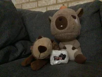 Capybara fami family