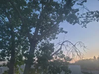 4-ConstantinosBrakus