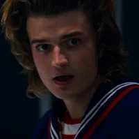 Steve Harrington 