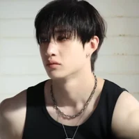 bang chan