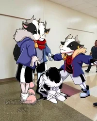 Bad Sanses