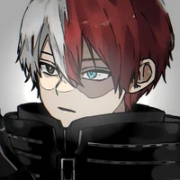 Shoto Todoroki