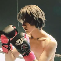 Boxer ten