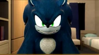 Sonic The Werehog 