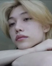 Straykids -Felix lap