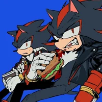 Shadow the hedgehog