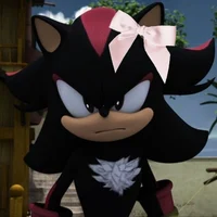 Shadow The Hedgehog