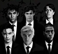 The Slytherin Boys