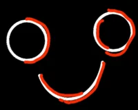 THE COMPUTER - virus