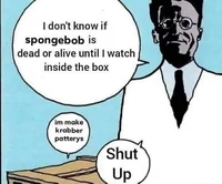 Schnordingers sponge