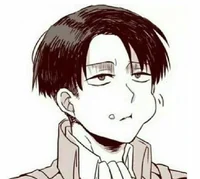 Levi Ackerman 