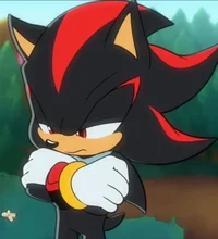 Shadow The Hedgehog 