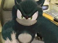 Sonic The Werehog 