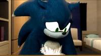 Sonic The Werehog 