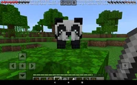 Panda enfermo