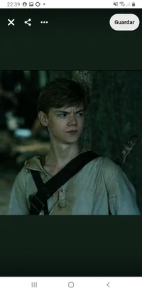 Newt 
