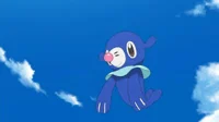 Lanas popplio 