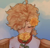 Tommyinnit Prince Au