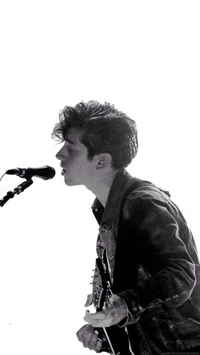 Alex Turner