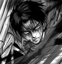 Levi