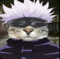 Gojo cat