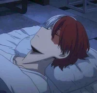 Shoto Todoroki