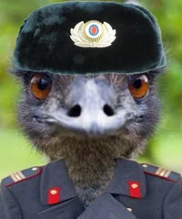 Emu republic Police 