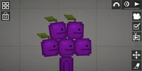 Grape