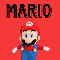 Mario From SML