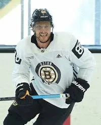 David Pastrnak