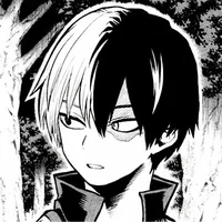 Shoto Todoroki 