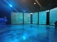 Aquarium 