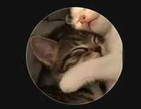 skibiditoiletrizz827