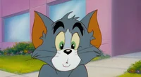 Tom Cat 