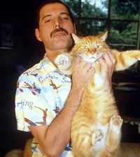 Freddie Mercury