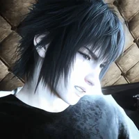 Noctis Lucis Caelum