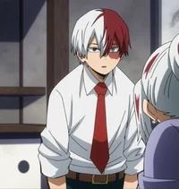 Shoto Todoroki