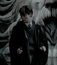 HP - Tom Riddle