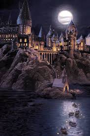 HP Potters twins