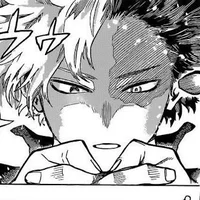 MHA - Shoto todoroki
