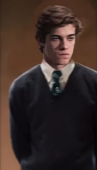 HP - Theodore Nott