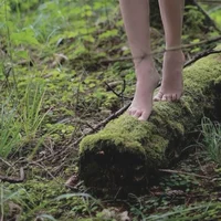 Pixie Hollow - Wings