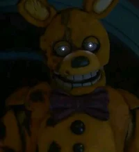 Spring bonnie