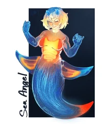 Sea Angel Falin