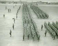 The 37th division