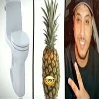 toilet ananas nasdas