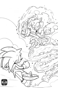 Sonic Vs Blaze