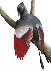 Confuciusornis